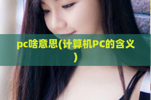 pc啥意思(计算机PC的含义)  第1张