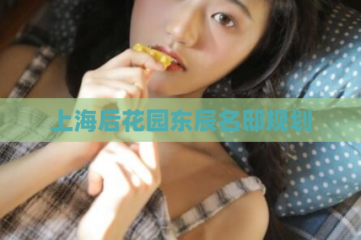 上海后花园东辰名邸规划  第1张