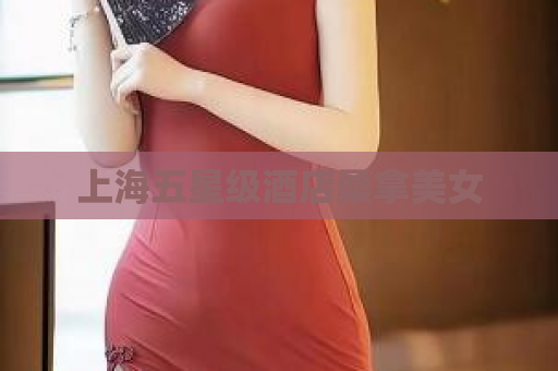 上海五星级酒店桑拿美女  第1张