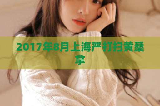 2017年8月上海严打扫黄桑拿  第1张