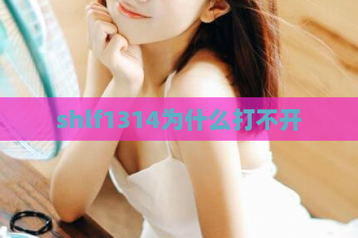 shlf1314为什么打不开  第1张