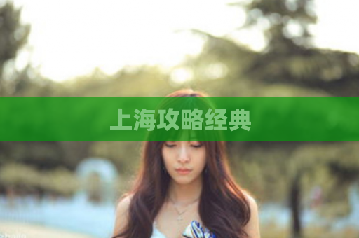 上海攻略经典  第1张