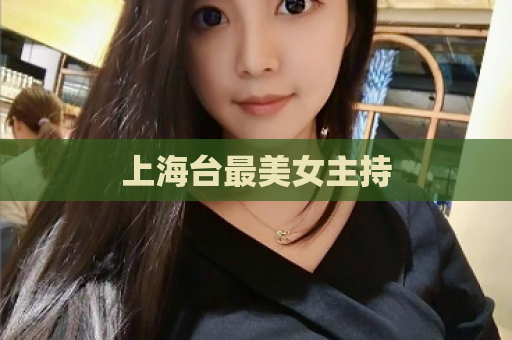 上海台最美女主持  第1张
