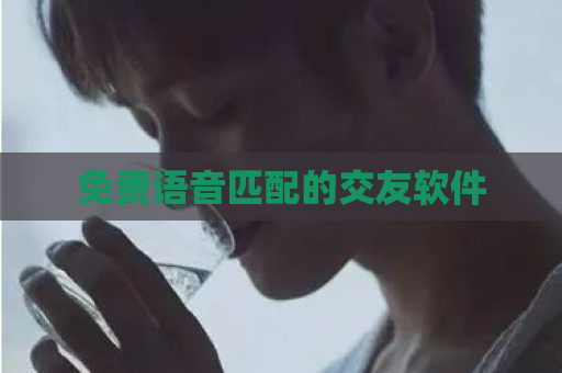 免费语音匹配的交友软件  第1张