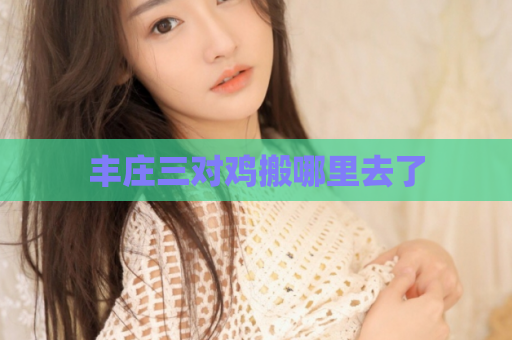 丰庄三对鸡搬哪里去了  第1张