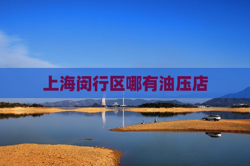 上海闵行区哪有油压店  第1张