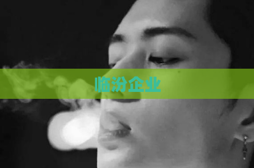 临汾企业  第1张