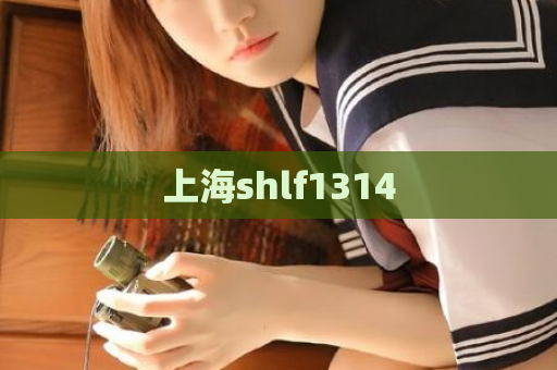 上海shlf1314  第1张