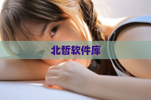 北哲软件库  第1张
