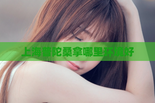 上海普陀桑拿哪里环境好  第1张