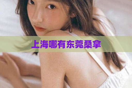 上海哪有东莞桑拿  第1张