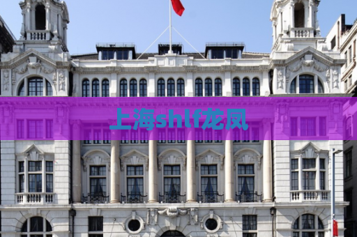 上海shlf龙凤 第1张 上海shlf龙凤 第1张