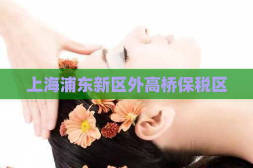 上海浦东新区外高桥保税区  第1张