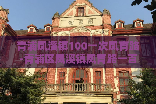 青浦凤溪镇100一次凤育路-青浦区凤溪镇凤育路一百元优惠活动  第1张